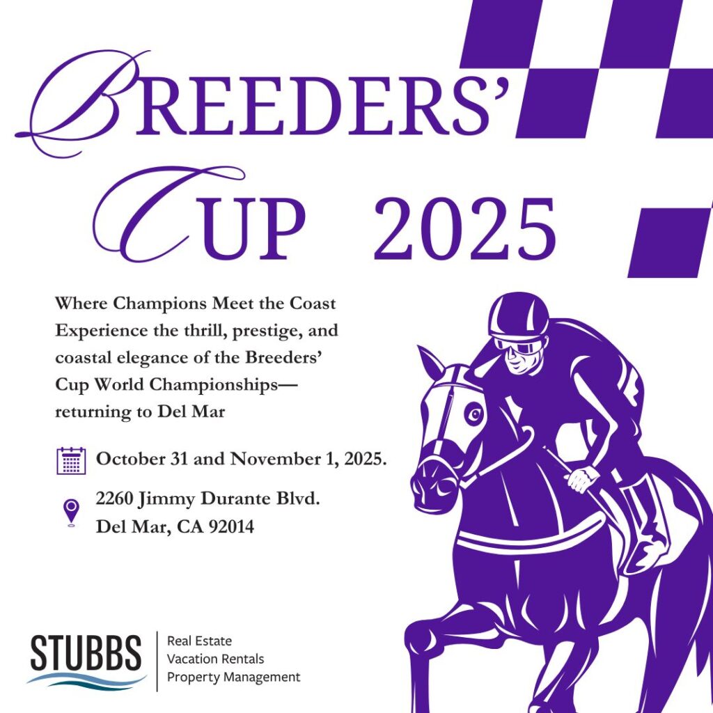 What Makes the Breeders’ Cup So Special?