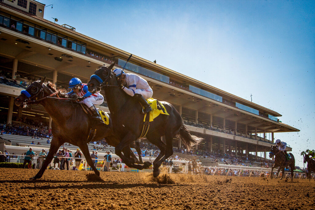 Stubbs + Del Mar Races: Where Coastal Living Meets Timeless Tradition