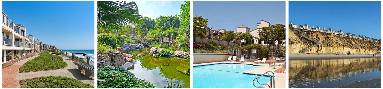 COMMUNITY FOCUS: Seascape Sur
